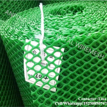 Maille verte d&#39;écran en plastique pour la protection d&#39;herbe (XM-034)